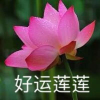 【金色热线】抓培育、解难题 云南大姚县建立机制助企纾困